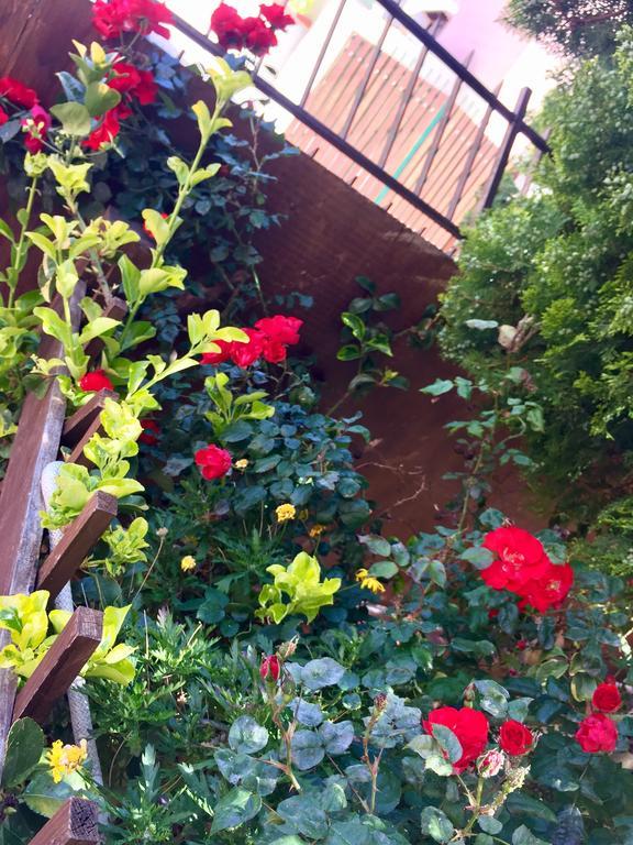 סן לאונה B&B Limone מראה חיצוני תמונה